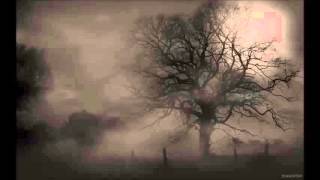 Misanthropy -  Tree Of Hate (Demo)