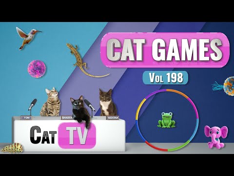 CAT Games | Ultimate Cat TV Compilation Vol 198 | 8 HOURS  🐝🐞🦋🦎🦜🐜🐭🧵