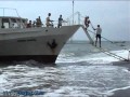 Черное море. Белый пароход. 