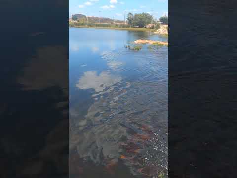 balneário do Arneiroz ceará