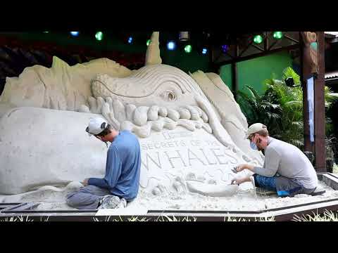Time lapse of the making of sand sculpture at Animal Kingdom