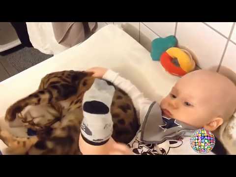 Cute animals and kids