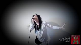 the GazettE - TWO OF A KIND (Vocal Cover)