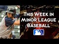 Loperfido the homer king, Holliday gets the call  | This Week in Minor League Baseball