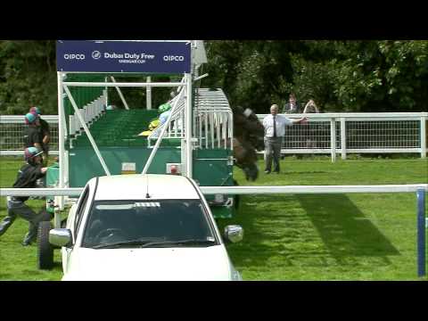 Dubai Duty Free Shergar Cup 2014 Highlights