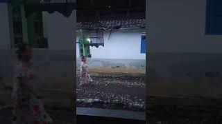 Download lagu burung Poksay rawa gacor habis mp3 Download lagu burung Poksay rawa gacor habis mp3