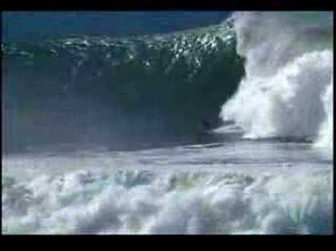 Mavericks Profile - Twiggy Baker