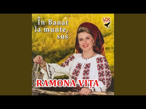 Cine Nu Tine La Mama