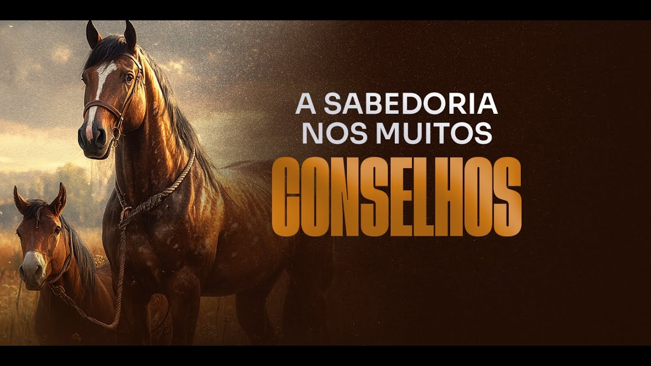 A SABEDORIA NOS MUITOS CONSELHOS // Pr.Anderson Barroso  (tadel) parte 2