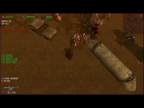 SURVIVING WASTELANDS with an FMMAG and AA-12