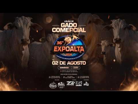 LEILÃO DE GADO COMERCIAL • 36° EXPOALTA - ALTA FLORESTA DO OESTE/RO - RURAL PLAY