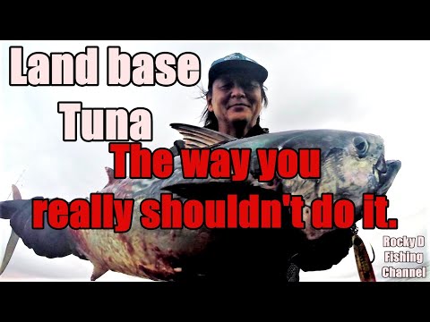 Land base Tuna Rocky D Fishing Vol.191