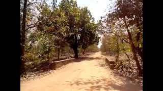 Way to Gangau Dam Panna Tiger Reserve Madhya Pradesh Year 2013 #askdushyant