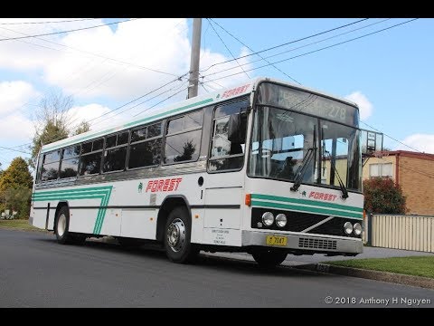 Forest Coach Lines [Terrey Hills] Volvo B10M Mk II / Custom Coaches 200, m/o 7047