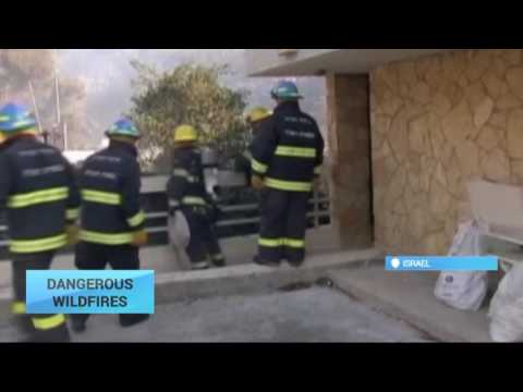 Israel wildfires: 12 arrested on suspicion of arson