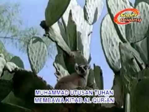 New Shaka - Allah Yang Kucintai