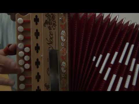 Cicirinella (Tarantella) - Organetto in Sol - Lezioni di organetto #organetto