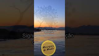 A promessa de proteção