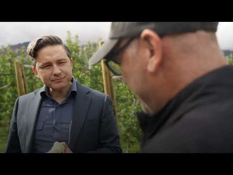 How do you like them apples?