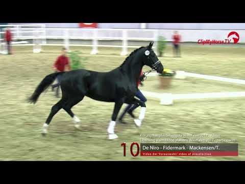 10 Junghengst v. De Niro - Fidermark