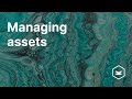 Managing Assets