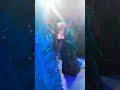 Lehenga Upar Sitara Jahan Jaam Karen