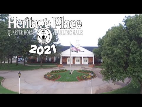 2021 Heritage Place Yearling Sale - Day 2 - StallioneSearch