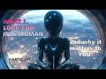 What I Want From A Woman Spotlight