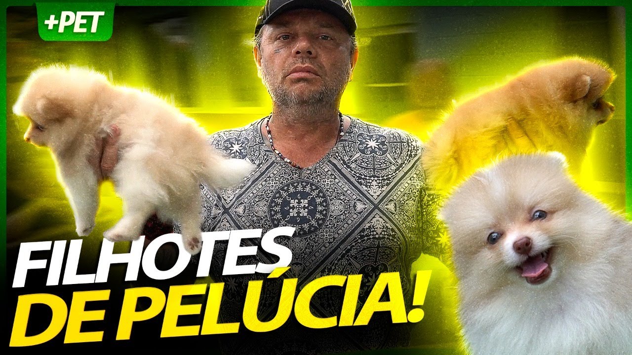 ESSES FILHOTES CUSTAM UMA FORTUNA! LULU DA POMERÂNIA! | RICHARD RASMUSSEN