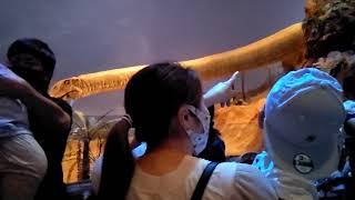 2021/06/26 いのちのたび博物館