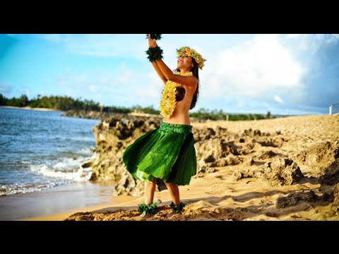 David Seccia-Sega Dam Dam feat JSB Morning Game