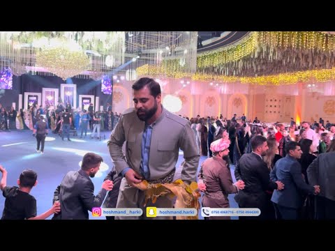 Romi Harki Dawata Sherwaniya 2025 shexani