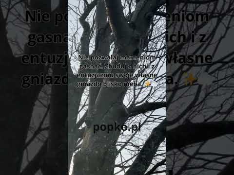 [Encyklopedia Wiedzy Duchowej] Twoje wnętrze odzwierciedla Twoje ambicje. Utrzymaj w sobie dziecięcy entuzjazm i odwagę do marzeń.