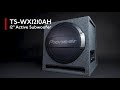 Pioneer TS-WX1210AH System Overview