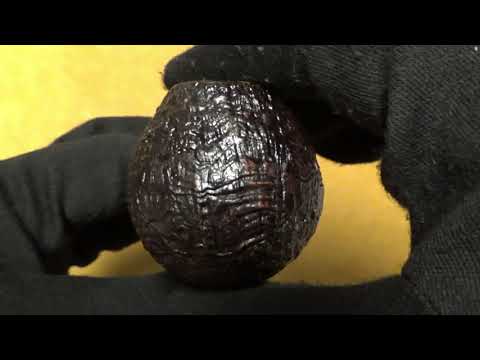 Pipa Paolo Becker Grado ♤♤ - 2013