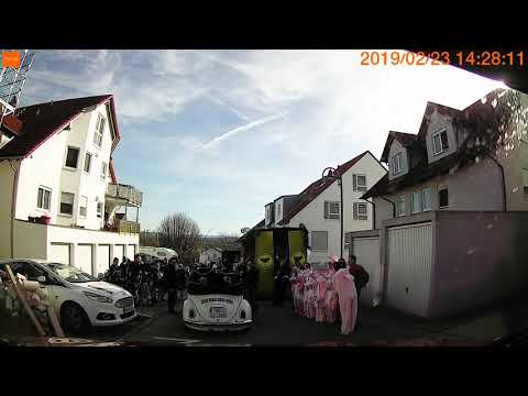 Umzug Gochsen 2019 vom Elferratswagen aus gesehen