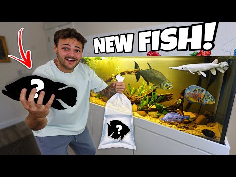 I Bought EXOTIC FISH for NEW 150G AQUARIUM!! (crazy)