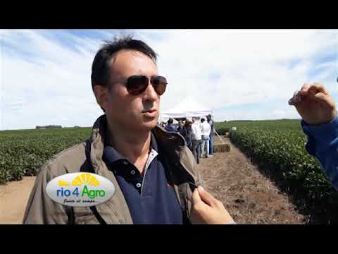 PROGRAMA RIO4AGRO BLOQUE 1 28 03