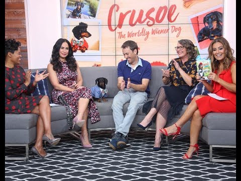 Crusoe the Dachshund on 'The Social' Talk Show