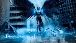 Thunder Battery - Aggro1 【Metallica v. The Prodigy】