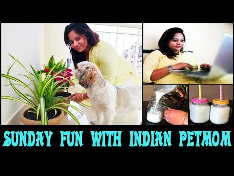 Sunday Fun With Indian Petmom | Shopping and Relaxing with family | MommyNFlurry Tale Video