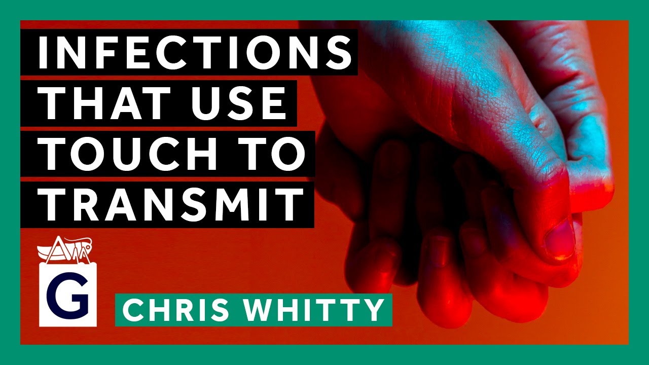 Infections That Use Touch To Transmit