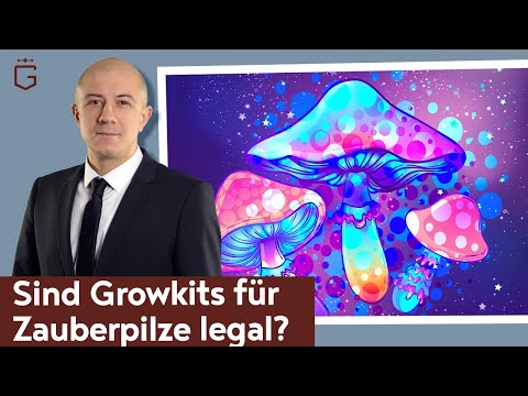 Are mushroom grow kits legal? Can I order grow boxes for magic mushrooms in the Netherlands?