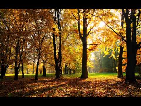 Andain Vs Fragma - Toca's Things (Heatbeat Mashup)