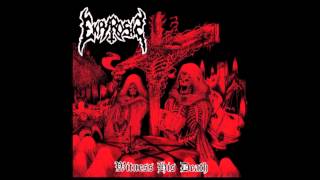 Ekpyrosis - Witness His Death (official album streaming)