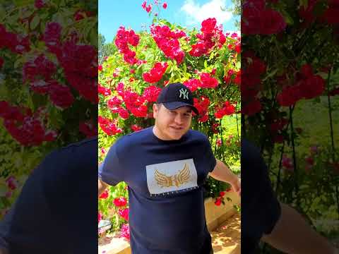 Aka Seul Two - Avec ou sans toi #inacheves1