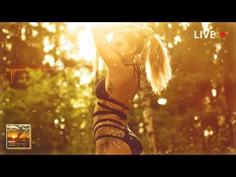 Rianu Keevs - The Spirit of the Past (Original Mix)