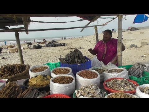 India's Biggest Dry Fish Market | All Types of Sea Dry Fish Selling | Digha Mohona West Bengal Video