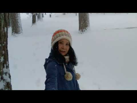 Lovely white, fluffy snow makes a Winter Wonderland on March 12, 2022. Temp. 27 ํF/-3 ํC