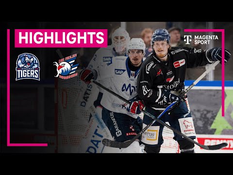 Straubing Tigers - Adler Mannheim | PENNY DEL | MAGENTA SPORT